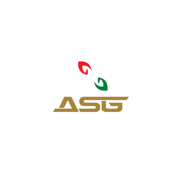 ASG Management Services logo